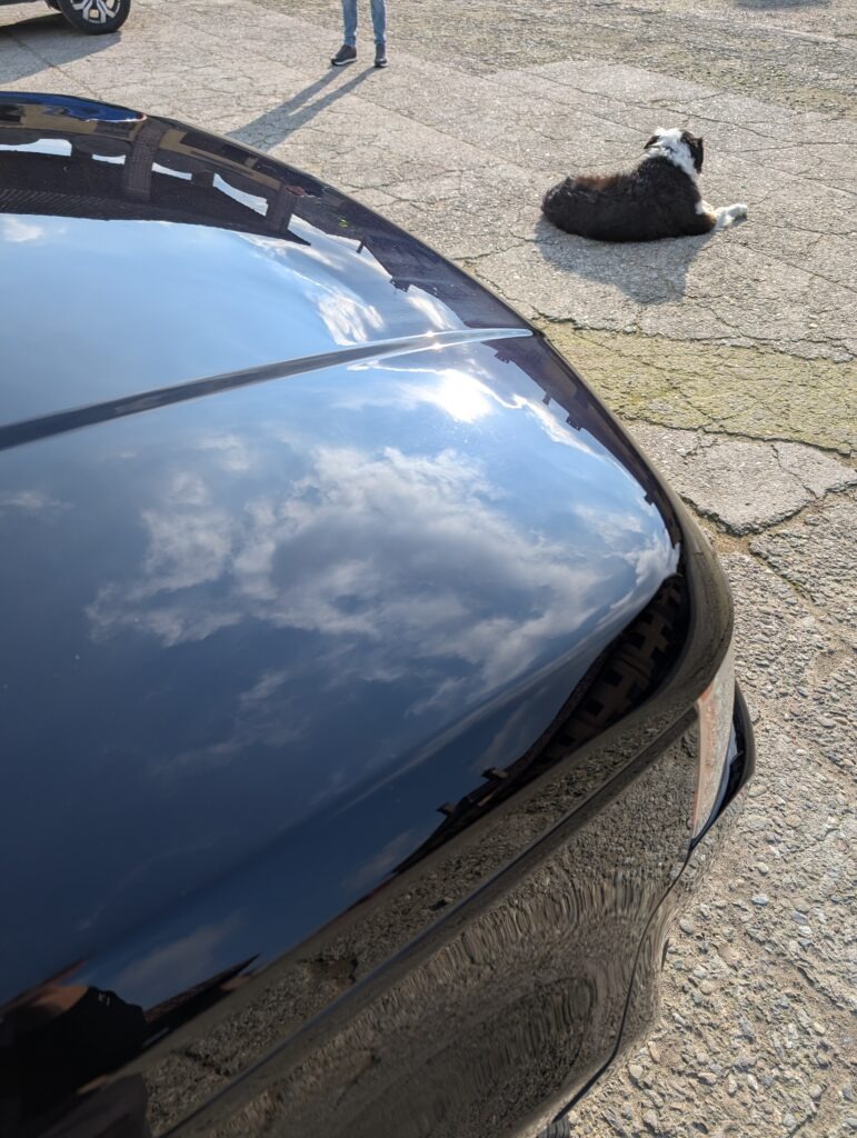 PXL_20251120_122039458-771x1024 Galleria